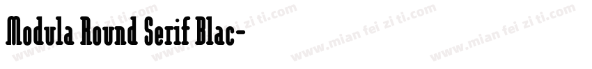Modula Round Serif Blac字体转换